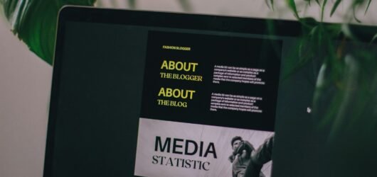 Media Governance Platform AdNexa OneView Enters a Race Already Run by Bigger, Verified Players