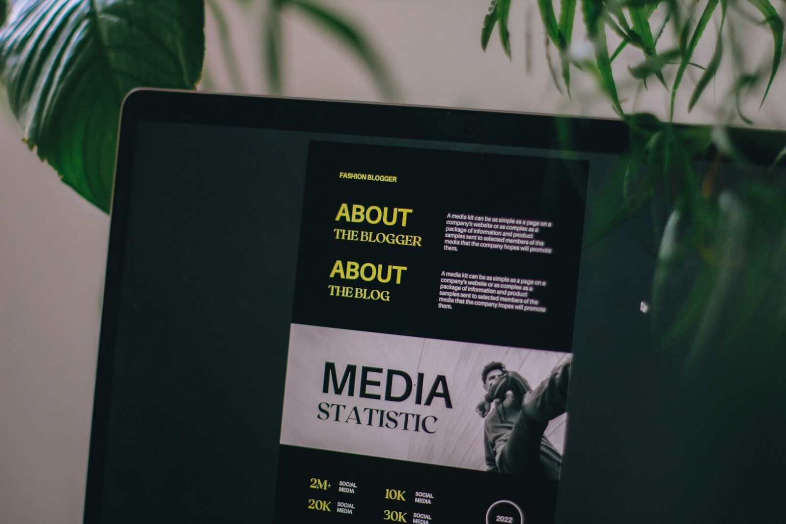 Media Governance Platform AdNexa OneView Enters a Race Already Run by Bigger, Verified Players