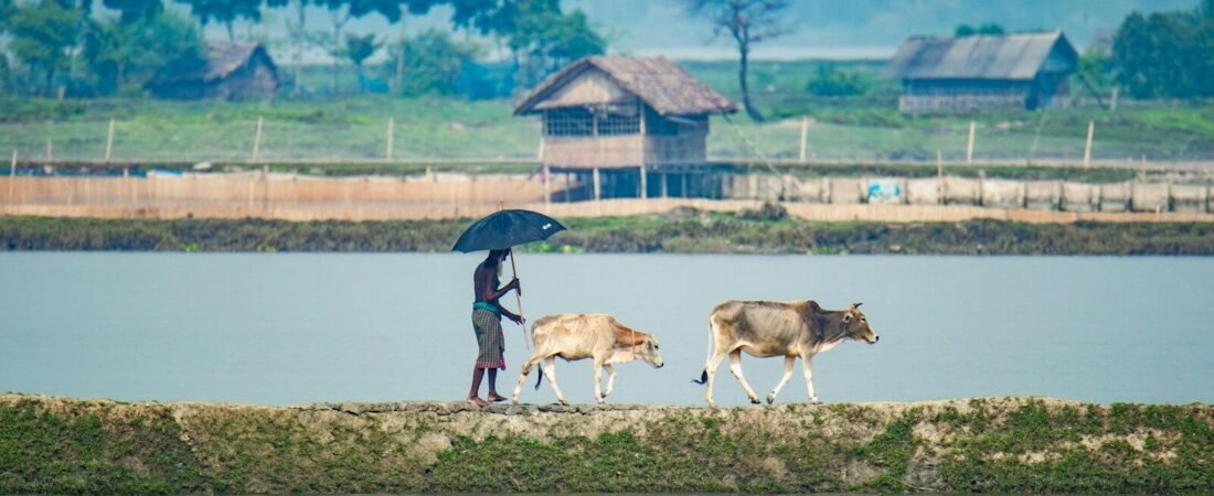 Rural Insurance Distribution: Roinet’s InsurTech Play Meets an IRDAI Reset