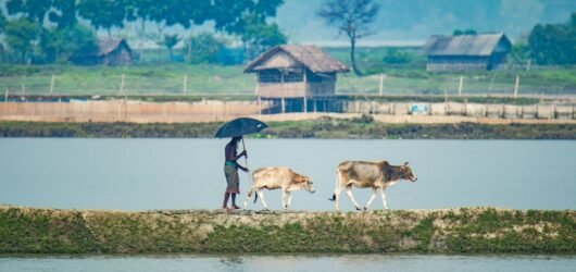 Rural Insurance Distribution: Roinet’s InsurTech Play Meets an IRDAI Reset
