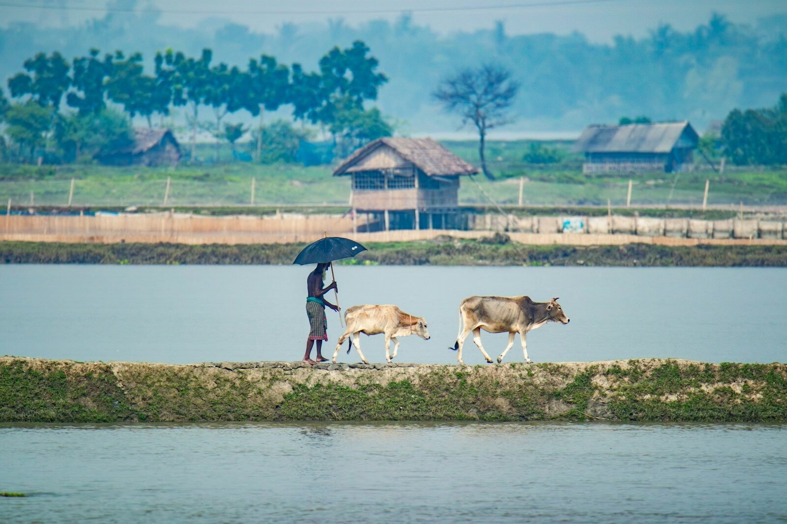 Rural Insurance Distribution: Roinet’s InsurTech Play Meets an IRDAI Reset